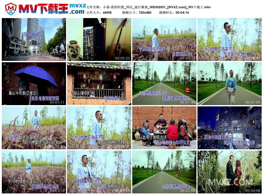 小豪-我的杜鹃_国语_流行歌曲_MB302001